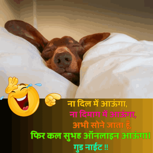 good night funny shayari 
